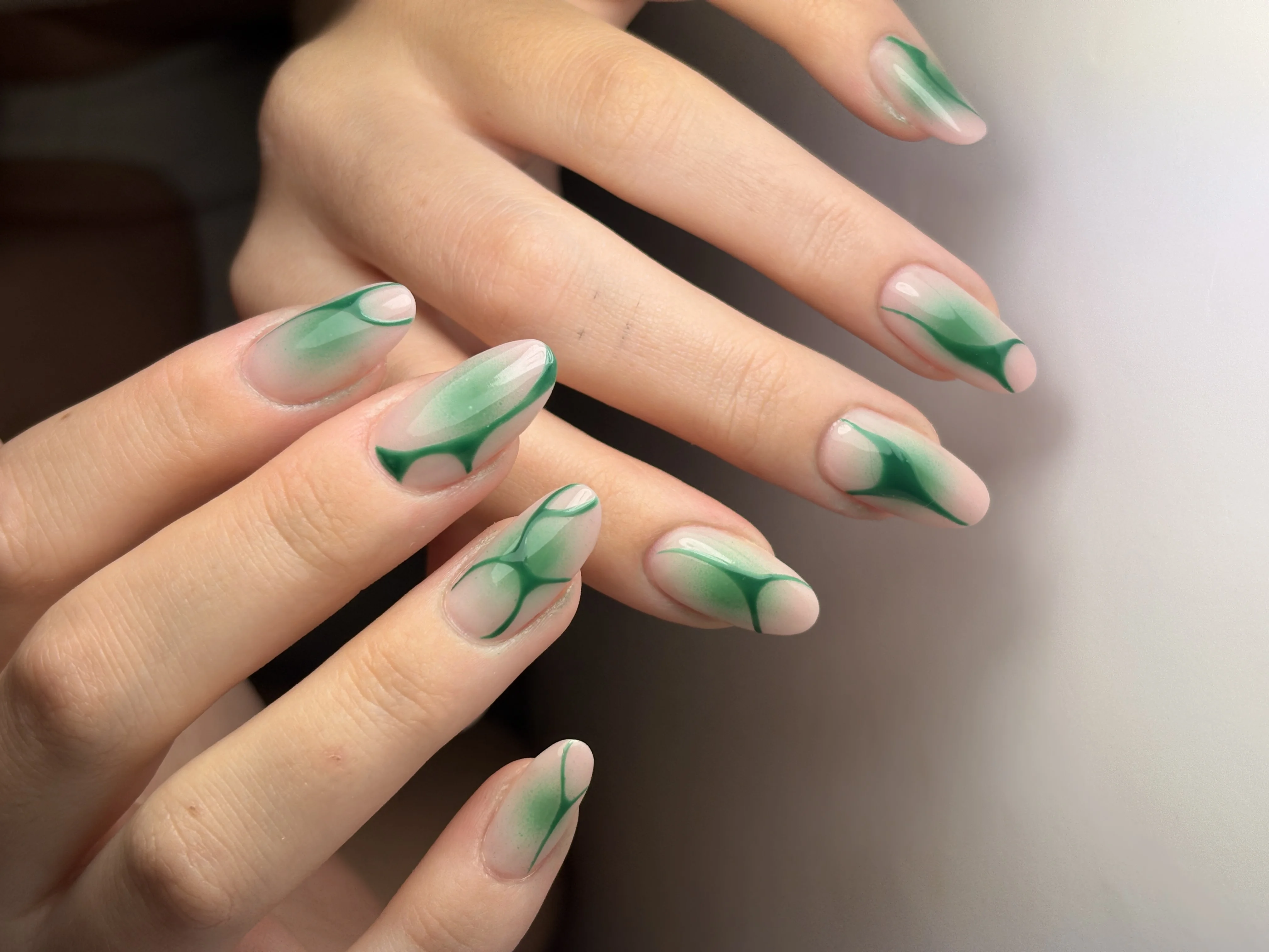 Profesionalna poslikava